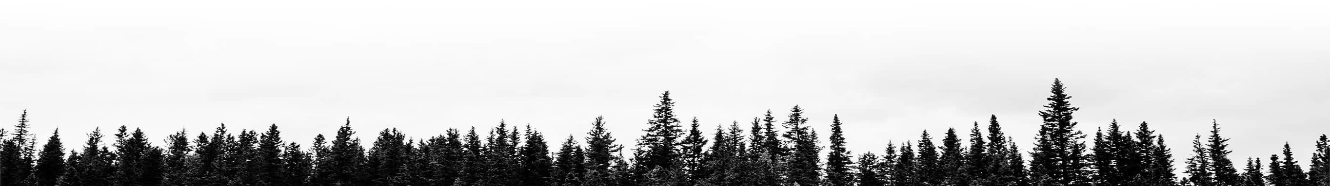 Nous avons plusieurs réalisations à notre actif de structure de coffrage isolant à travers le Québec et aux alentours de Granby. Découvrez nos réalisations de coffrage isolant.